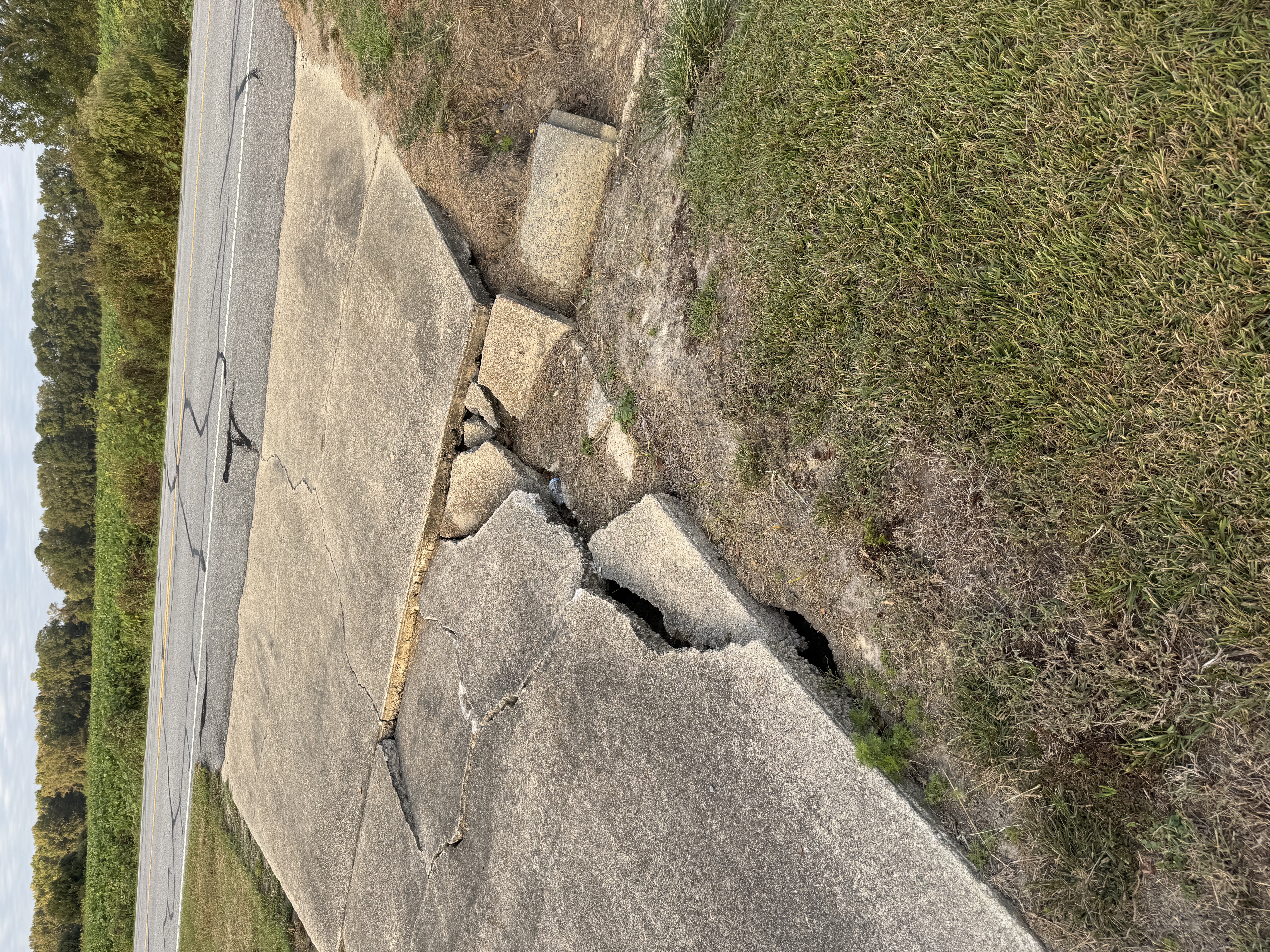 Close-up of a cracked driveway photographed for property condition and documentation.