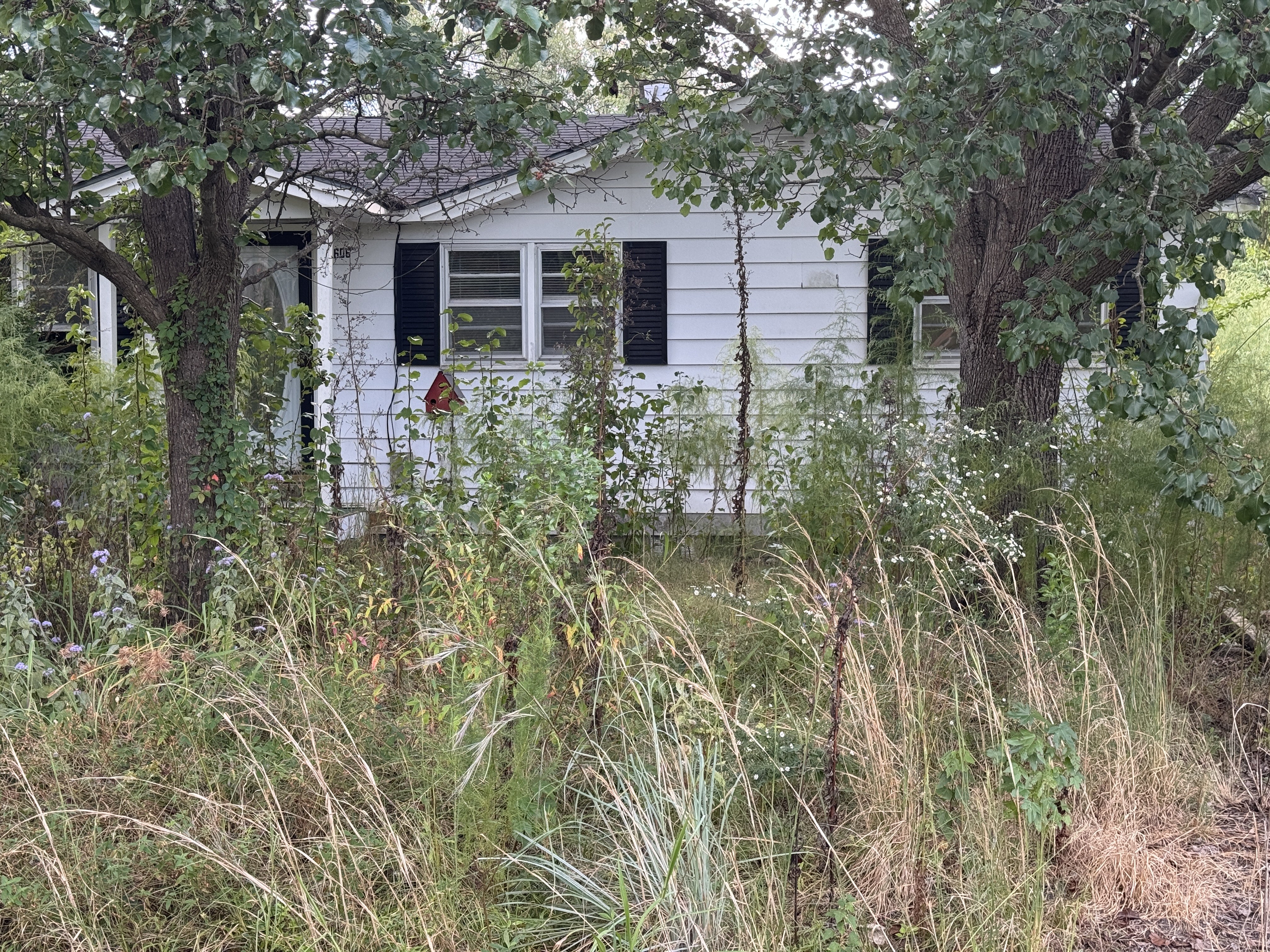 Overgrown exterior of a small white house, photographed by Trenety Enterprises.